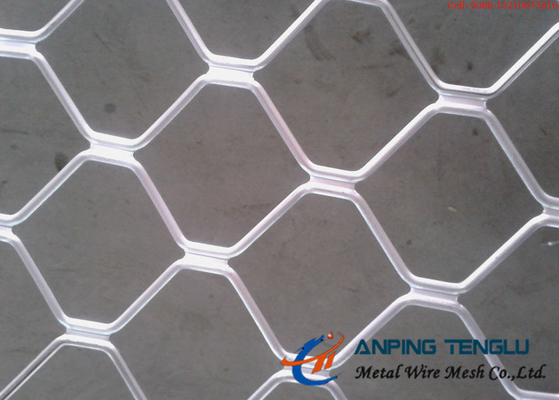 Belle grille Mesh For Protection Firm Structure et résistance à la corrosion