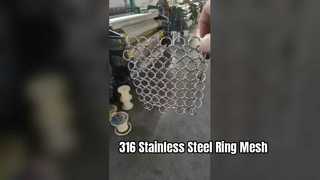 SS316 Ring Mesh
